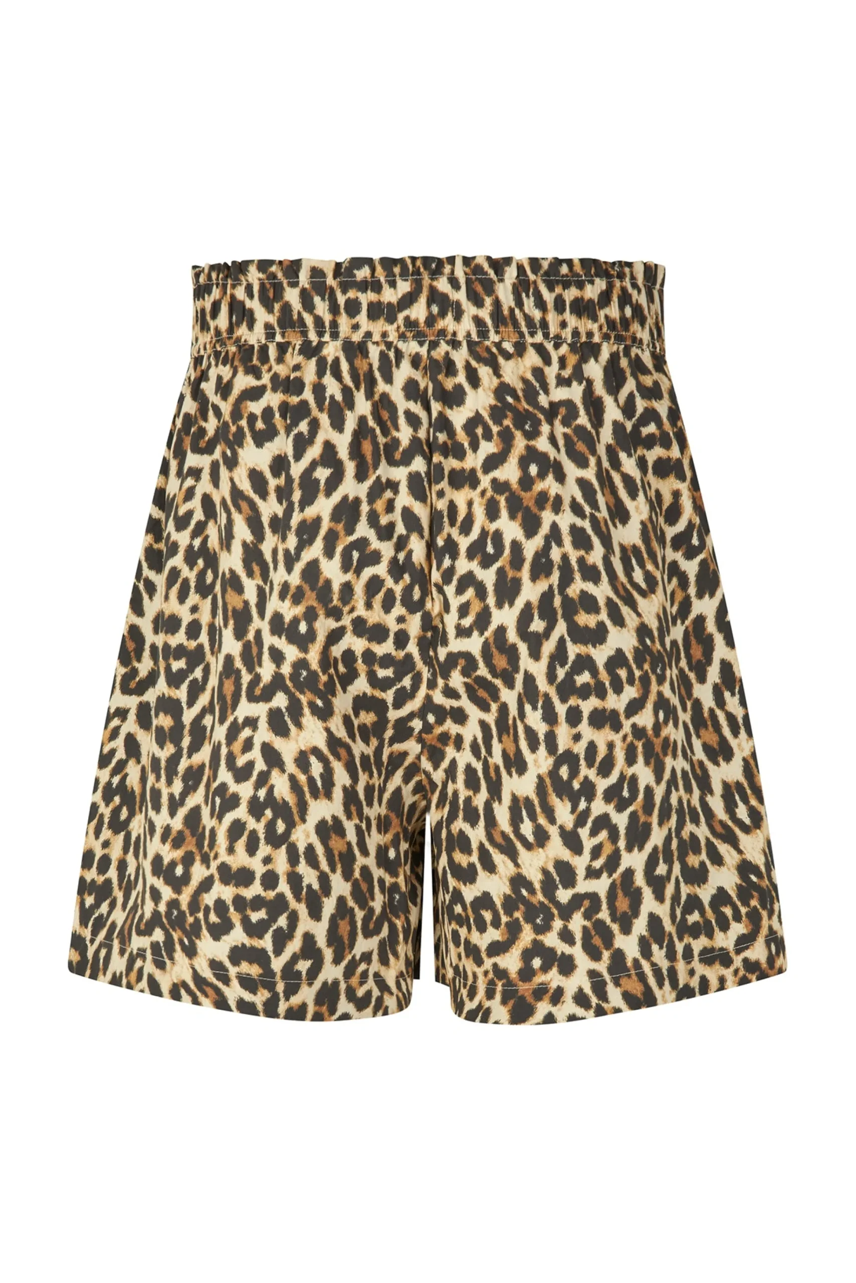 BlancaLL Shorts