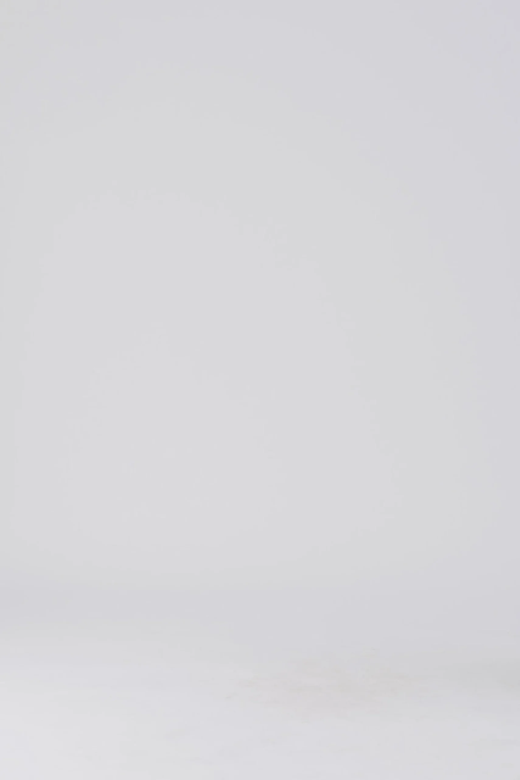 SalmaLL Knit LS